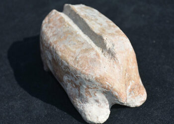 Ulucak Höyüğü'nde 7 bin 700 yıllık marangoz aleti bulundu