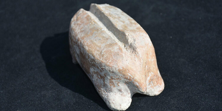 Ulucak Höyüğü'nde 7 bin 700 yıllık marangoz aleti bulundu