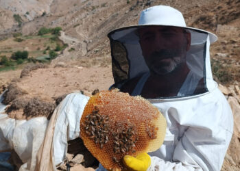 Ürettiği kara kovan balının kilosunu 2 bin 500 liradan satıyor