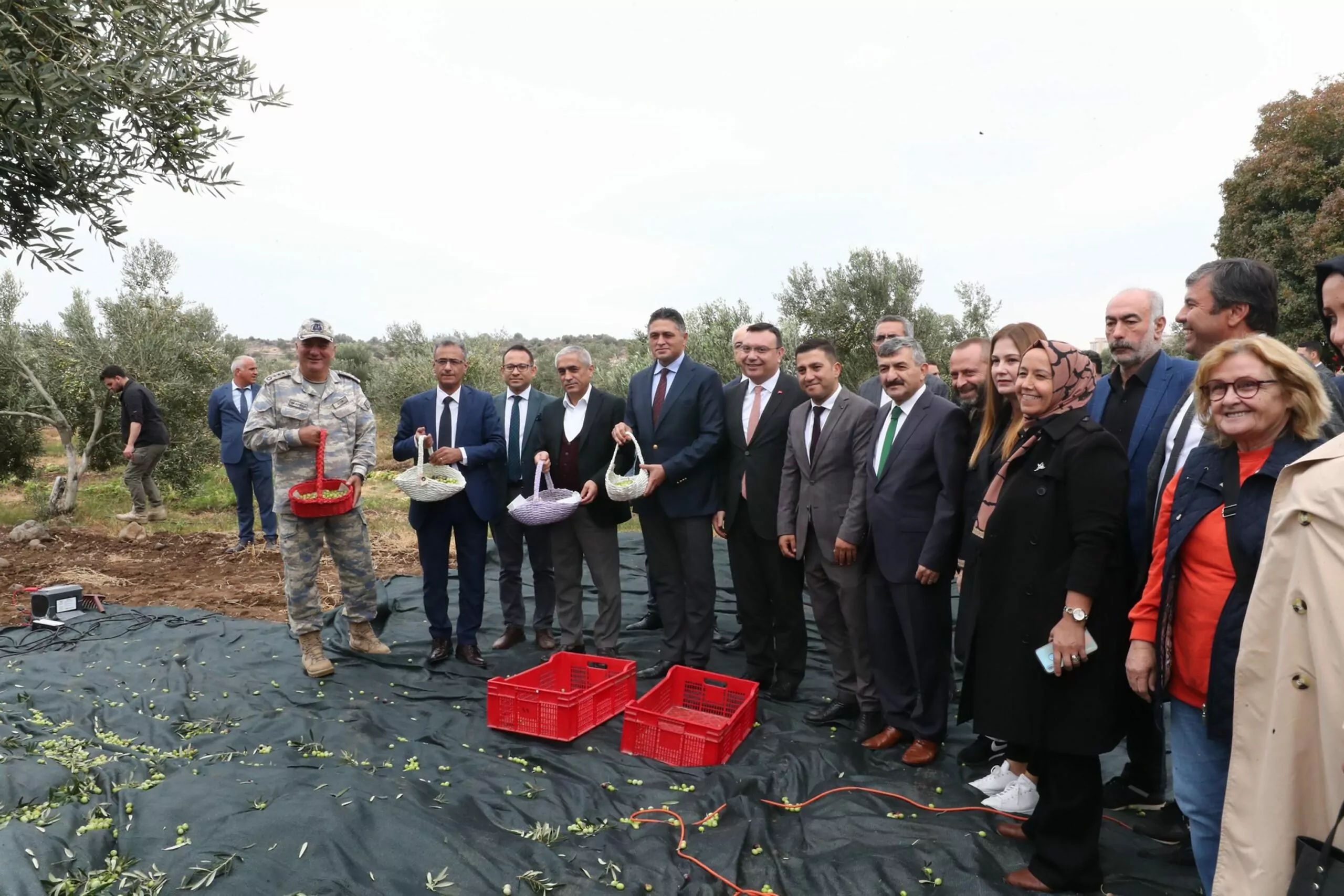 Aliağa'da 2. Zeytin hasat şenliği düzenlendi