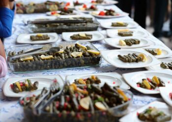 Aliağa'da 2. Zeytin Hasat Şenliği düzenlendi