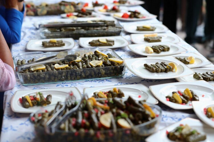 Aliağa'da 2. Zeytin Hasat Şenliği düzenlendi