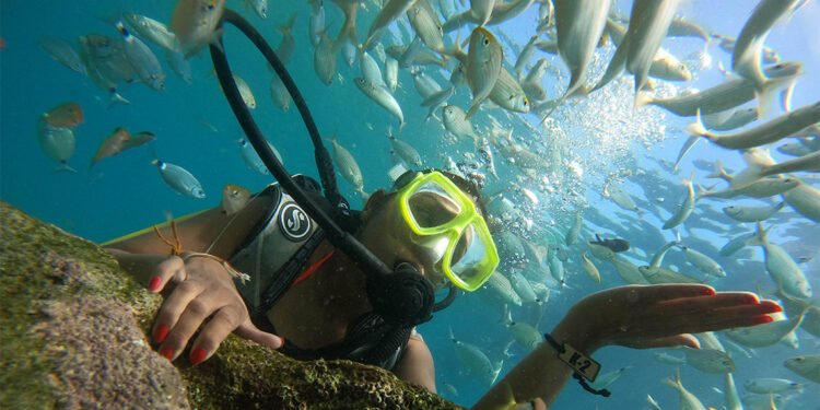 Antalya'da dalış turizmi yüz güldürmedi