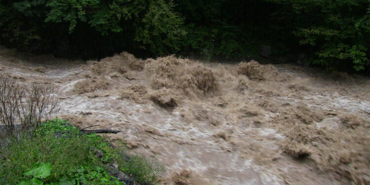 Artvin'de sağanak heyelana neden oldu