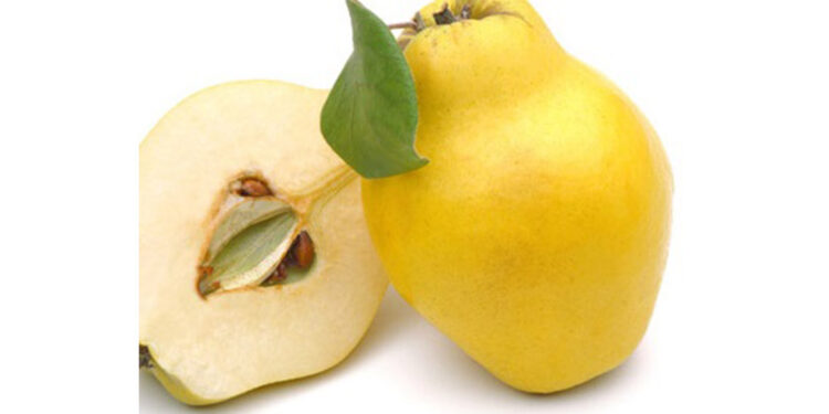 Ayvanın faydaları saymakla bitmiyor