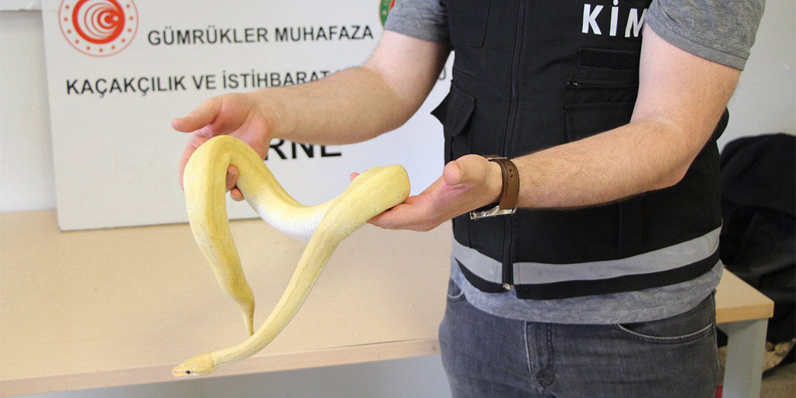 18.8 milyar liralık kaçak eşyaya el konuldu