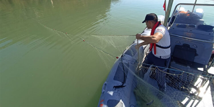Sahipsiz ağa takılan 200 kilo canlı balık suya bırakıldı