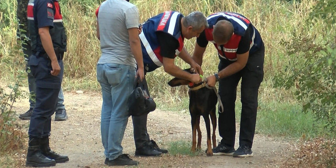Korhan Berzeg'i arama çalışmaları sonlandırıldı