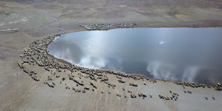 Göçerler havanın soğuması ile dönüşe geçti
