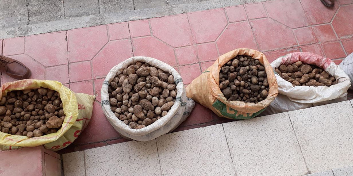 Tarım ve Orman Bakanlığı, Doğa Koruma ve Milli Parklar (DKMP) Genel Müdürlüğü'nce, biyokaçakçılıkla mücadele çalışmaları yürütülüyor.