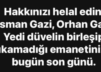 Cumhuriyeti hedef aldı, açığa alındı