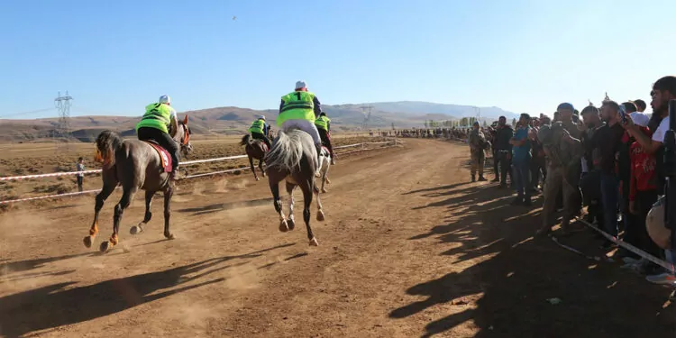 Bingöl'de şeref koşusu at yarışları düzenlendi