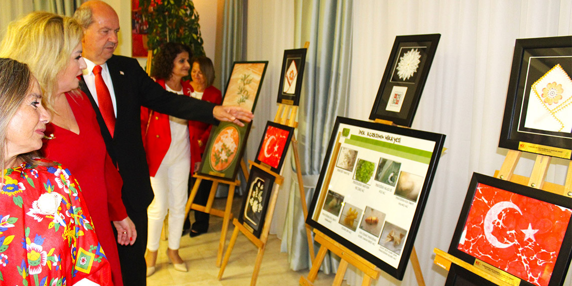 Yunus Emre Enstitüsü, Latin Amerika’dan Uzak Doğu’ya Afrika’dan Avrupa’ya kadar geniş bir coğrafyada binlerce kişinin Türk kültürünün birleştirici çatısı altında bir araya getirildiği çeşitli etkinliklerle Cumhuriyet'in coşkusunu taşıdı.