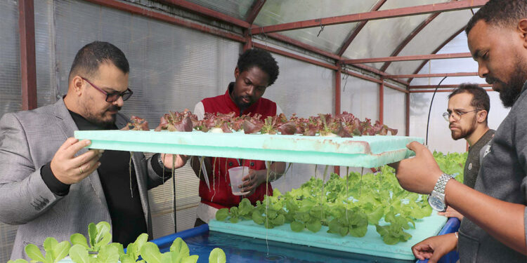 'Yüzen marullar' öğrencilerin geçim kaynağı olacak