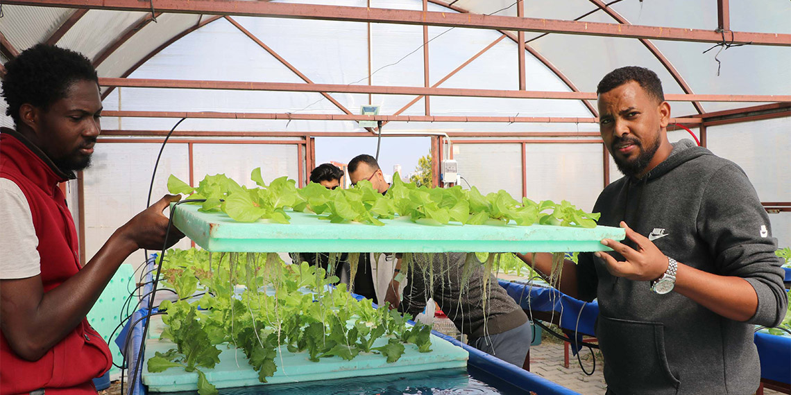 ERÜTAM'da 3 ay önce Toprak Bilimi ve Bitki Beslenme Öğretim Üyesi Doç. Dr. Abdullah Ulaş danışmanlığında 'Yüzen marullar' projesi başlatıldı.