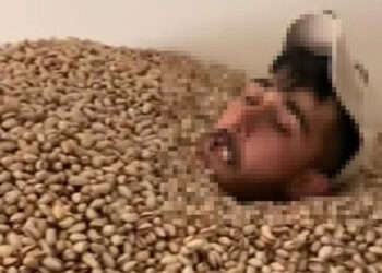 Tepki çeken görüntü sonrası 2 ton fıstığa el konuldu