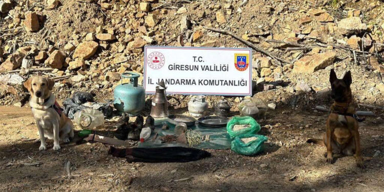 Giresun'da terör örgütünün kullandığı sığınak bulundu