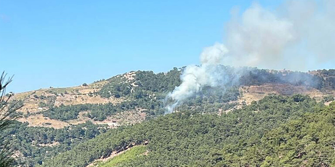 Bu görsel boş bir alt niteliğe sahip; dosya adı izmirde-orman-yangini_8773_dhaphoto1.jpg