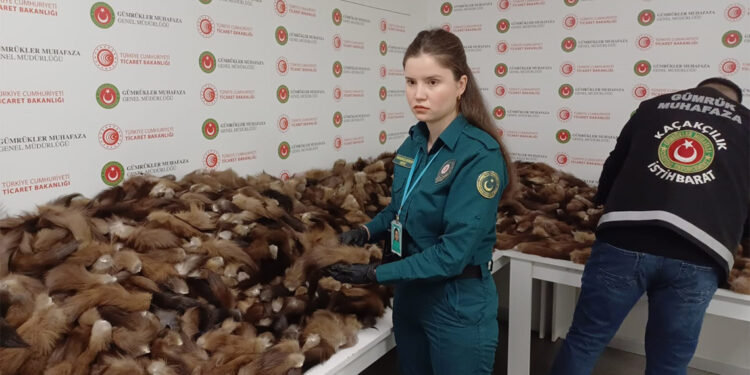 İstanbul Havalimanı'nda 10 bin 300 adet tilki kuyruğu ele geçirildi