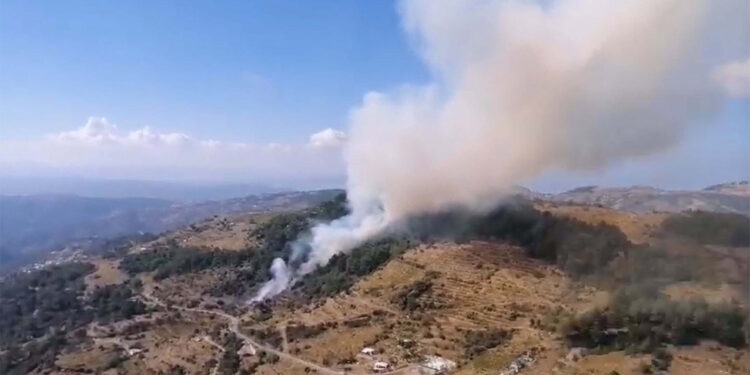 İzmir Karabağlar'da orman yangını