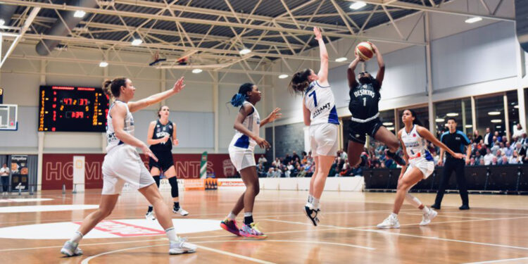 Beşiktaş Kangoeroes Mechelen'e 83-74 mağlup oldu