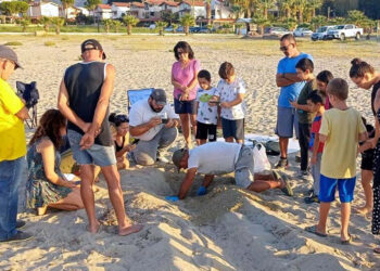 Didim ve Kuşadası'nda caretta carettalar denizle buluşturuldu