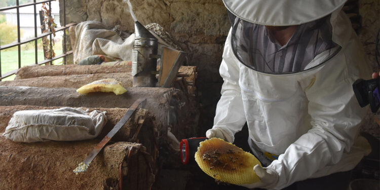 Bitlis balına talep arttı