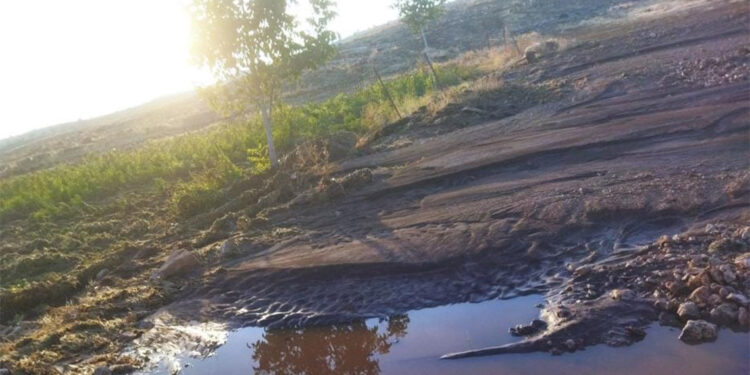 Mardin'de dere taştı, meyve bahçeleri zarar gördü