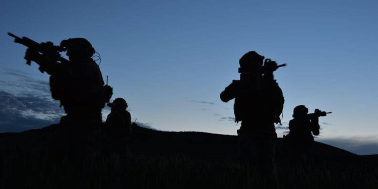 Zeytin Dalı ve Barış Pınarı bölgelerinde 5 PKK'lı etkisiz
