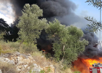 Muğla'da bungalovda çıkan yangın, ormana da sıçradı