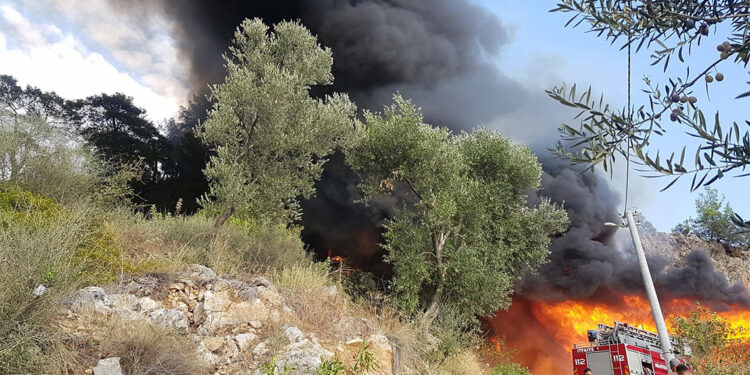 Muğla'da bungalovda çıkan yangın, ormana da sıçradı