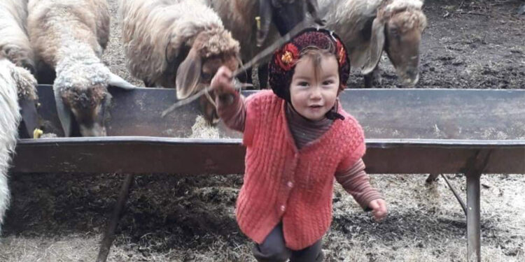 Müslüme Yağal'ın ölümünde yeni gelişme