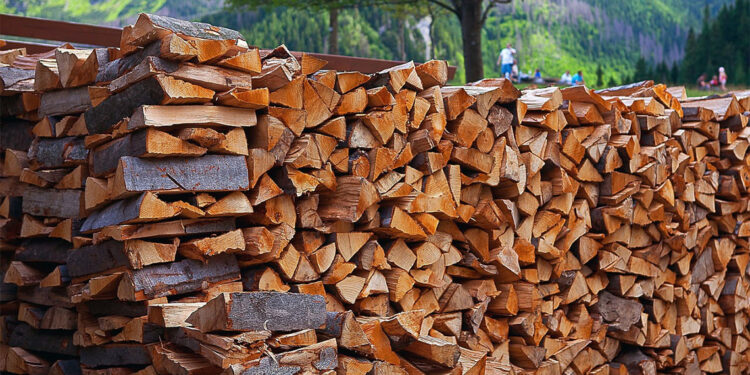 Orman köylüsüne ısı yalıtımı desteği ile 63 bin ton odun tasarrufu