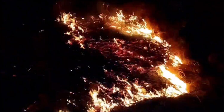 Otluk yangınında alevler demiryoluna sıçradı