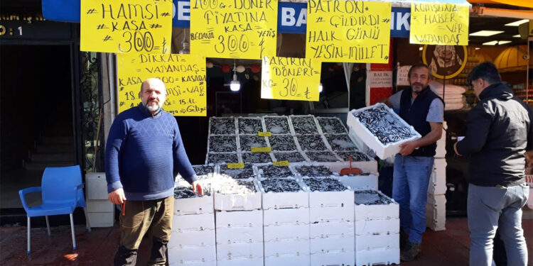 Rize'de hamsinin fiyatı 30 liraya düştü