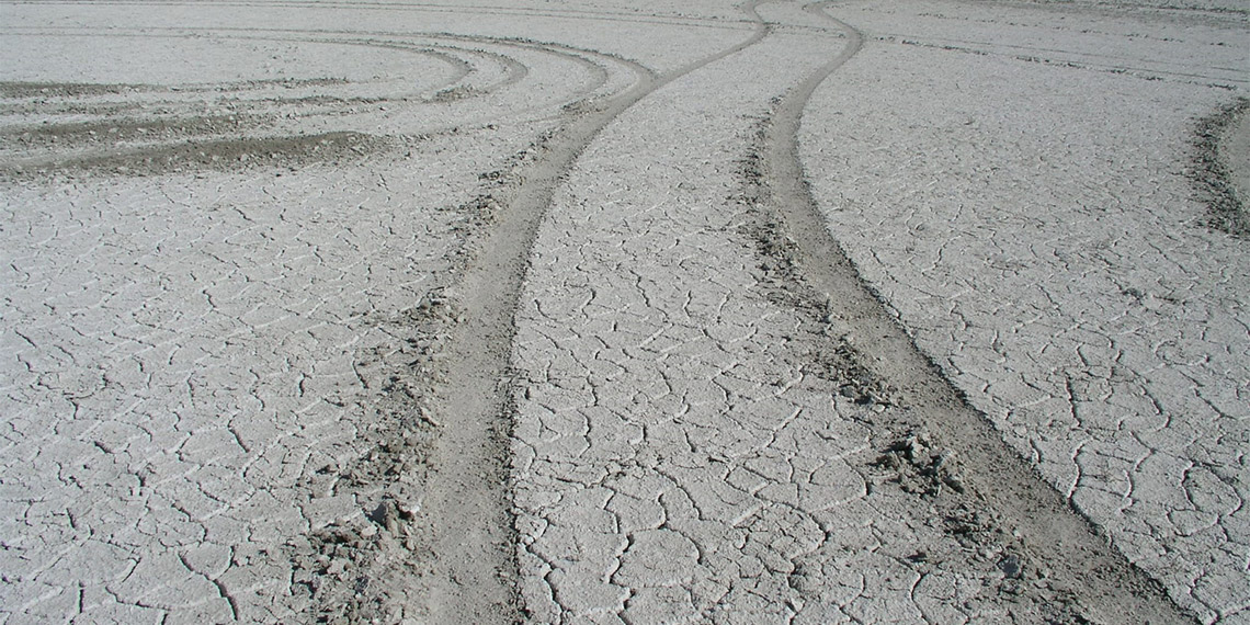 Seyfe Gölü tamamen kuruyunca cevizin rekoltesi düştü