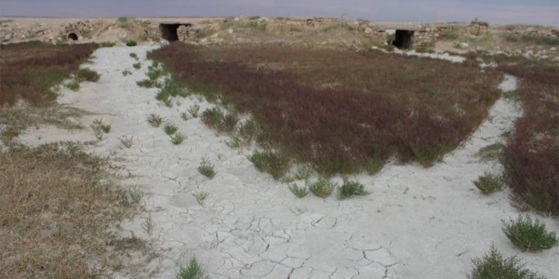 Kırşehir'in Mucur ilçesinde 152 bin hektarlık alanda, 187 kuş türüne ev sahipliği yapan Seyfe Gölü tamamen kuruyunca bölgede yetiştirilen cevizin rekoltesi düştü.