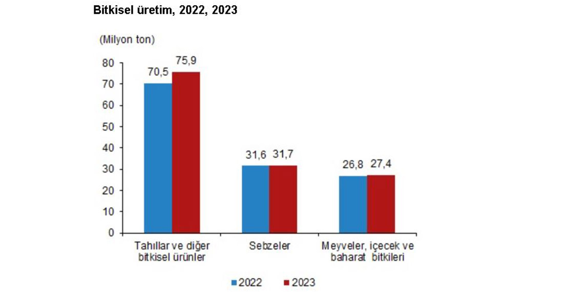 Türkiye İstatistik Kurumu (TÜİK), 2023 yılı bitkisel üretiminde tahıl, sebze ve meyve ürünlerinin genelinde bir önceki yıla göre artış beklendiğini duyurdu.