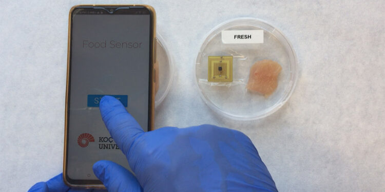 Gıda zehirlenmesini önleyecek sensör geliştirildi