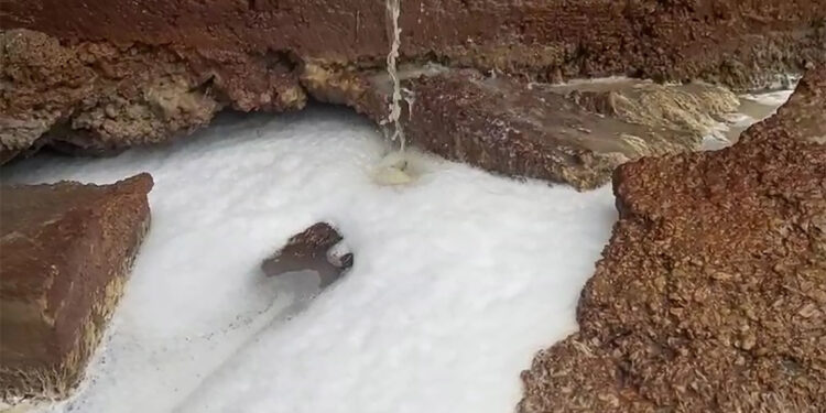 Yağmur suyu rögarına kimyasal madde boşaltıldığı iddiası