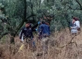 Zeytinlikte ağaca asılı cesedi bulunan Nevrigül kaçarak evlenmiş