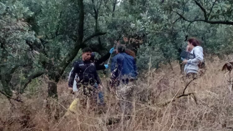 Zeytinlikte ağaca asılı cesedi bulunan Nevrigül kaçarak evlenmiş