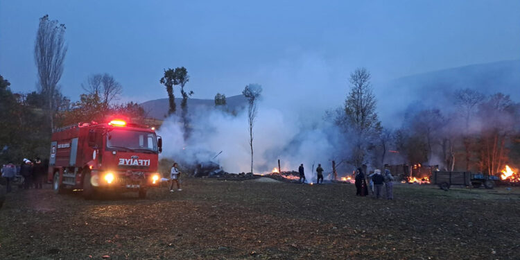 Ahırda çıkan yangında 50 koyun öldü