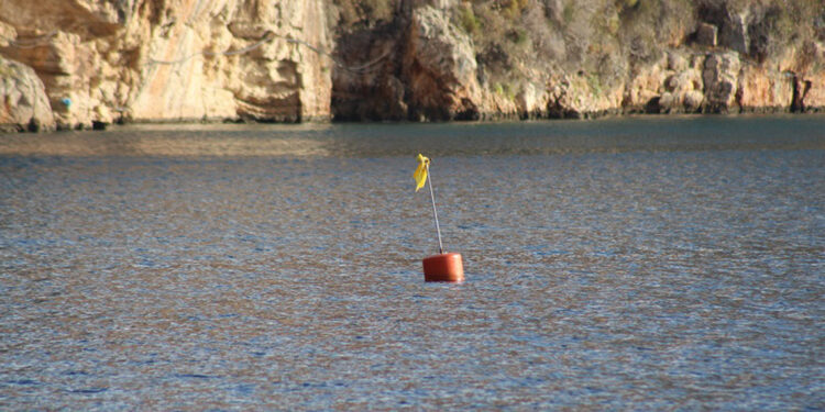 Akdeniz'e Nefes Programı ile deniz çayırları korunacak