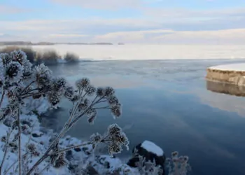 Ardahan'da soğuk hava; kura nehri'nin yüzeyi buz tuttu