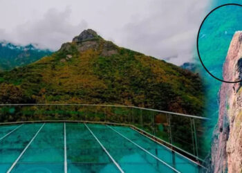 Artvin'de cam seyir terasından düşen kadın öldü
