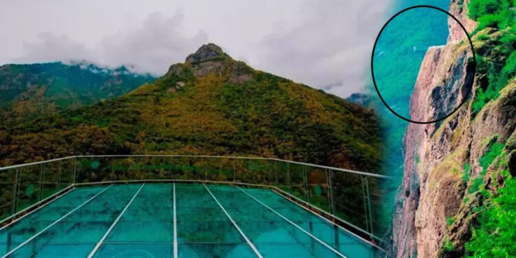 Artvin'de cam seyir terasından düşen kadın öldü