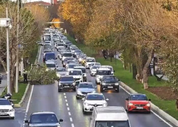 Bakırköy sahilyolunda ağaç yola devrildi