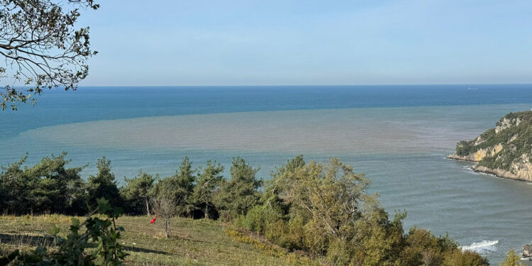 Bartın Irmağı'ndan akan çamurlu su, denizin rengini değiştirdi