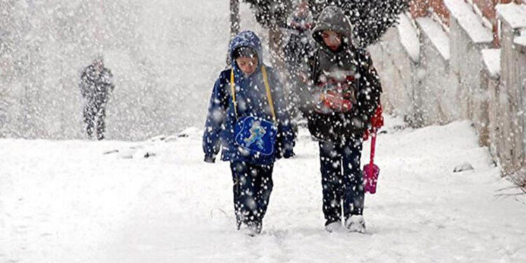 Bingöl'ün 5 ilçesi ile Şırnak'ta eğitime bir gün ara verildi